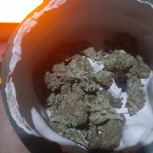 IN-TOXICADO