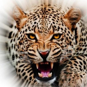 Scary Pantera