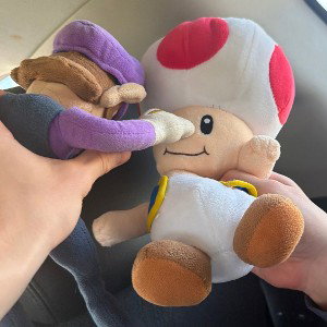 Murderer TOAD