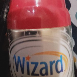 Gus  the Wizard
