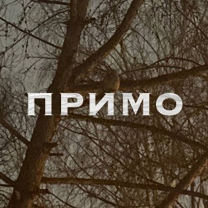 .primo
