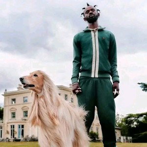_EMOTION__Asake_x_Bnxn_x_Av_Type_Beat_2023____Afrobeat_Instrumental_256k_