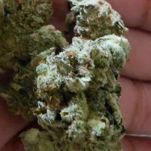 Sky High 