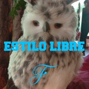  ESTILO LIBRE 