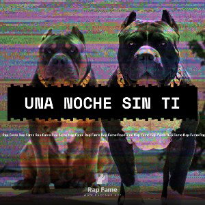Una noche sin ti 