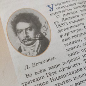 Дисс на бетховена