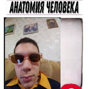 анатомия