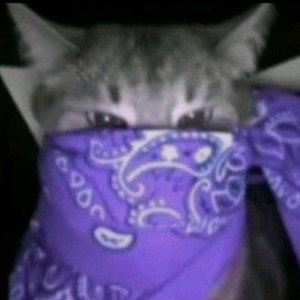 Разгон 
