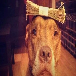 no equal
