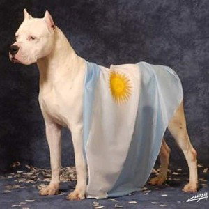 la guerra comenzo