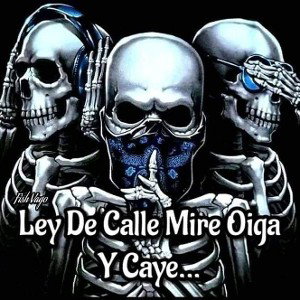 mordida de dogo