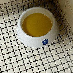 pee bowl