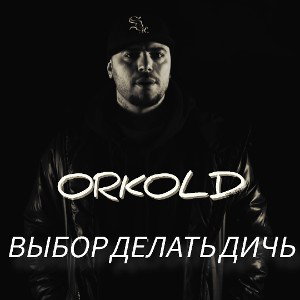 ВЫБОР ДЕЛАТЬ ДИЧЬ 