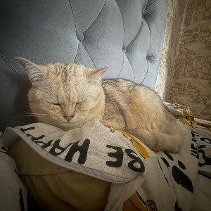 Не влюбляйся, красавица
