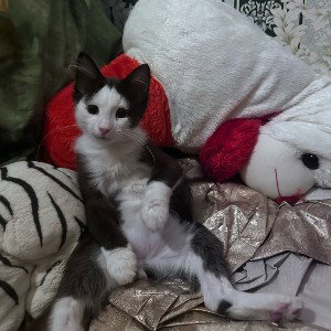 Сила Любви