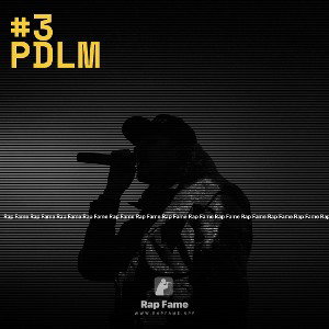#3 PDLM