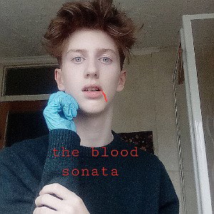 The Scarlet Veil