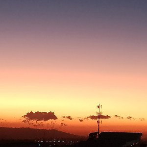 los reñes