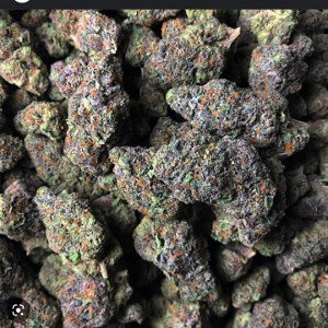 GELATO💥💤