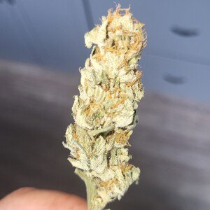I get it in rite now