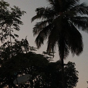 Untitled (26/01/23 6:24 pm)