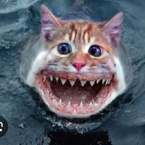 “Cat Scratch Fever”