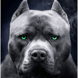 beast Mode 