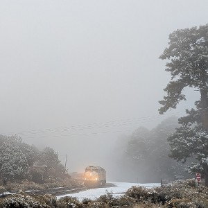 Here_today 