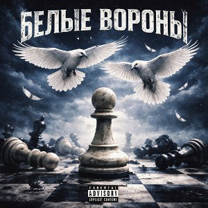 STM517 - БЕЛЫЕ ВОРОНЫ