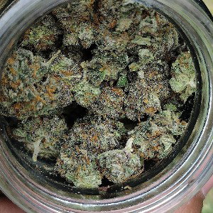 Addicted2012., straight delivery noadlibsorfx