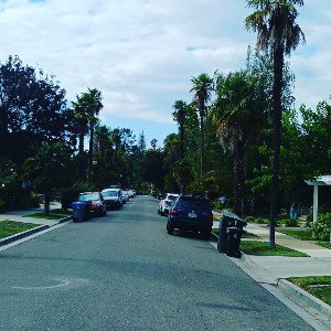 freestylem in cali