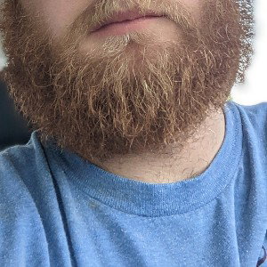Gingerbeard - listen 