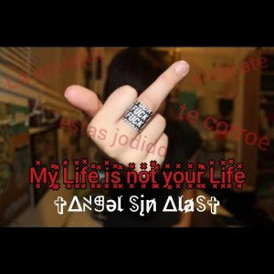 My Life IS NOT your Life