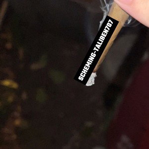 SchemingTaliben707