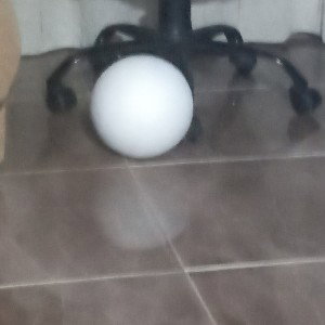 Pelota blanca (Trueno jr)