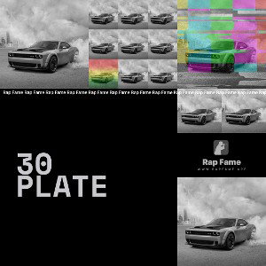 30 plate 