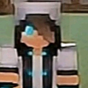HL gamer