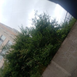 О ЖИЗНИ 