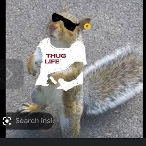 Lucy big chipmunk little chipmunk that’s me