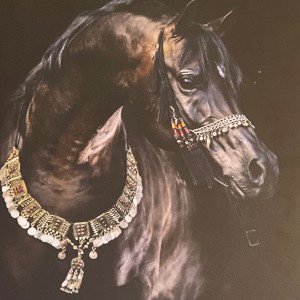 مسافر عالطريق بس السواق بطئ ..وورايا واد خنيق .. عايز اوصل سينا بسرعه 