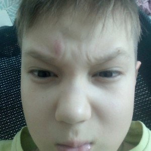 ДИСС НА НЕГРОВ