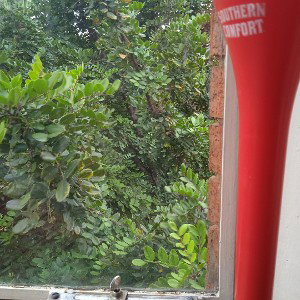 that southern comfort.. 🇿🇦 recorded from my window flow