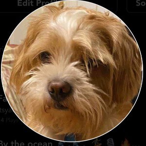 By the ocean 
