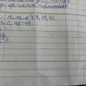 я не хочу делать домашку про какашку