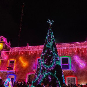  navidad sin ti