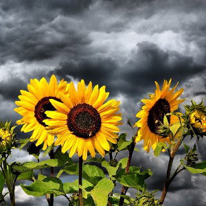 sunclouds and rainshine