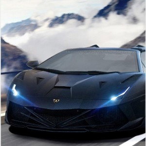 no whip