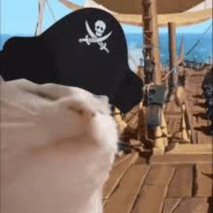 Pirate