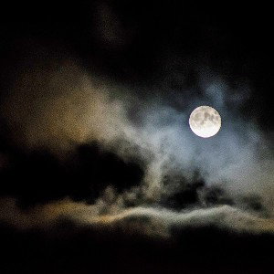 miss moon