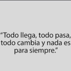 quenosqueda